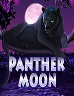 ประสบการณ์เล่น supernova slotwwwuwin789 ที เด็ด สกอร์ สูง